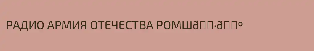 РАДИО АРМИЯ ОТЕЧЕСТВА РОМШ🇷🇺